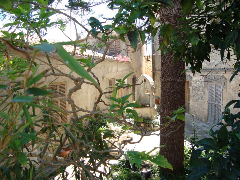Courtyard with fruit trees growing at the old hospice of Sineu, Mallorca.