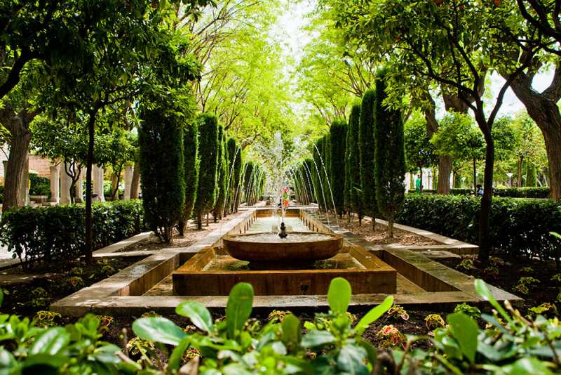 Popular public park and garden of Hort del Rei next to the Almudaian palace in Palma, Mallorca.