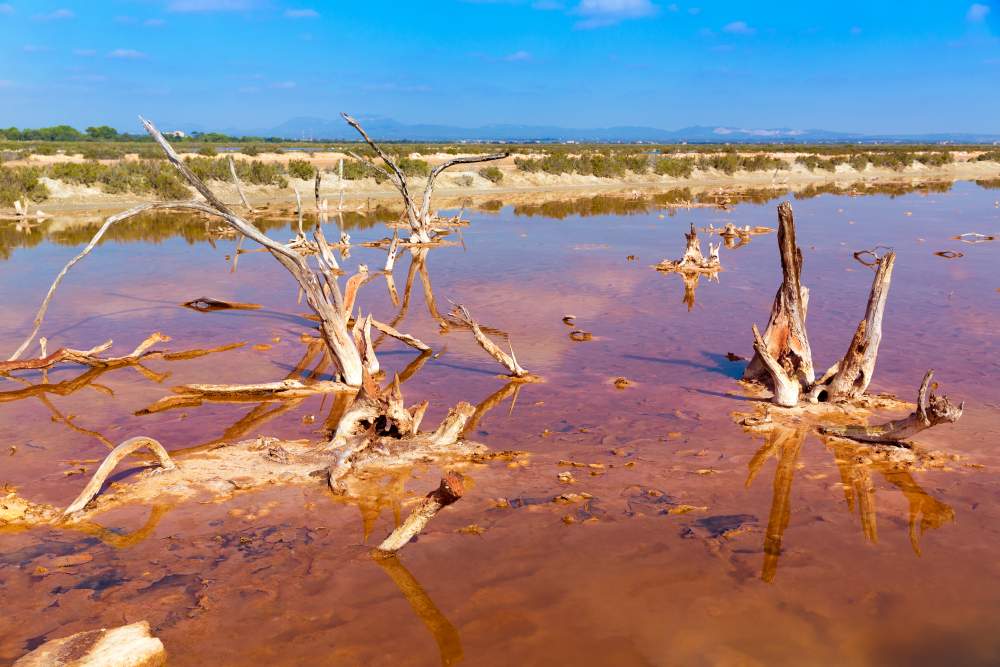 Wetlands and salt mines of El Salobrar between Campos and Ses Salines, Mallorca, Spain.