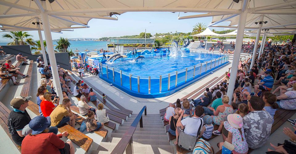 Audience attending one of the famous dolphin shows at Marineland, Mallorca.