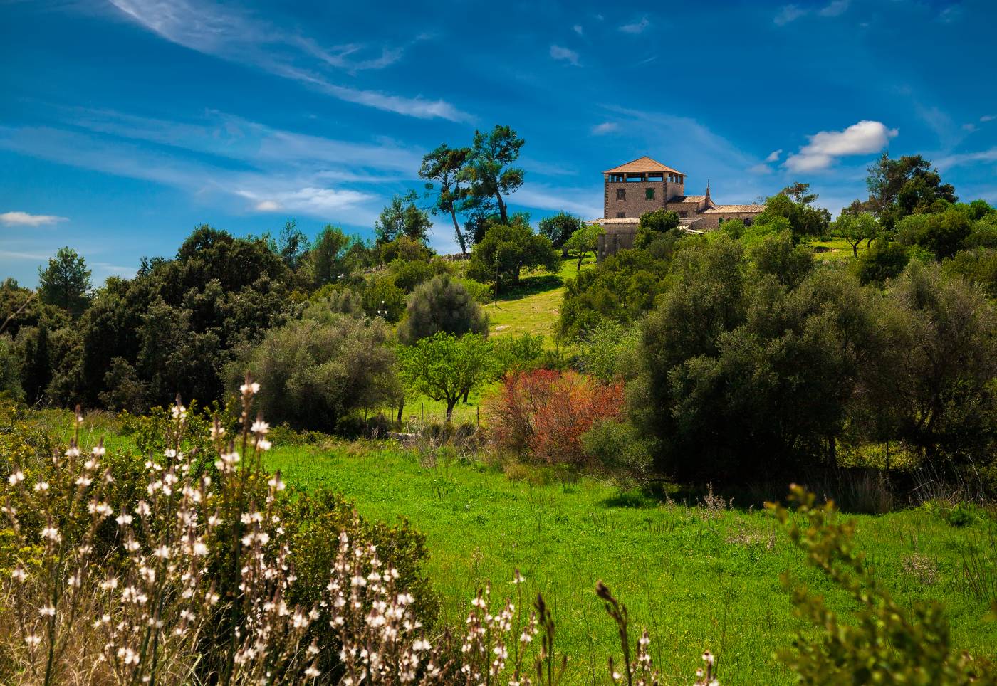Rural tranquility in Sant Joan, Mallorca, island, Spain.