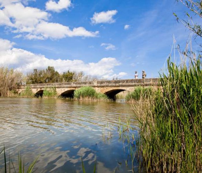 Scenic nature park and wetlands of s'Albufera located between Alcudia and Muro in Mallorca.