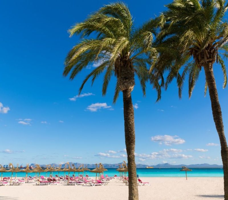 Summer on a beach in Alcúdia, Mallorca, Spain, with palm trees and soft white sand.