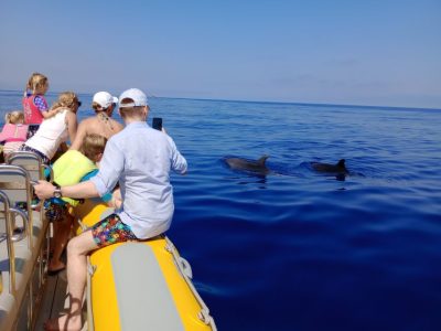 can-picafort-mallorca-dolphin-boat-trip-watching