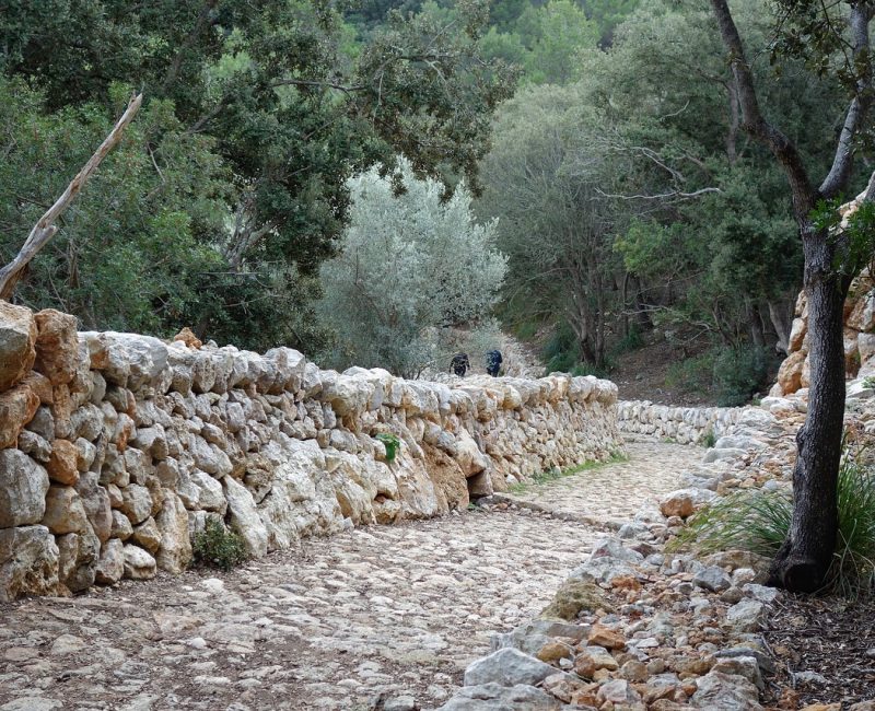 Dry stone construction in the mountain forest of Tramuntana near Esporles village, Mallorca.