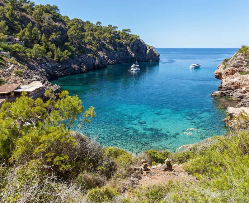 Pristine natural rocky cove covered in green pine trees at the Formentor peninsula, Mallorca island, Spain.