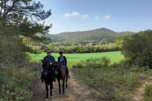horseback-ridsing-tour-guided-randa-mallorca