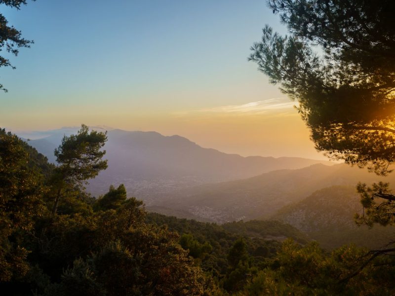 Beautiful lush valley in Mancor de la Vall, in the Serra de Tramuntana mountain range, Mallorca, Spain.
