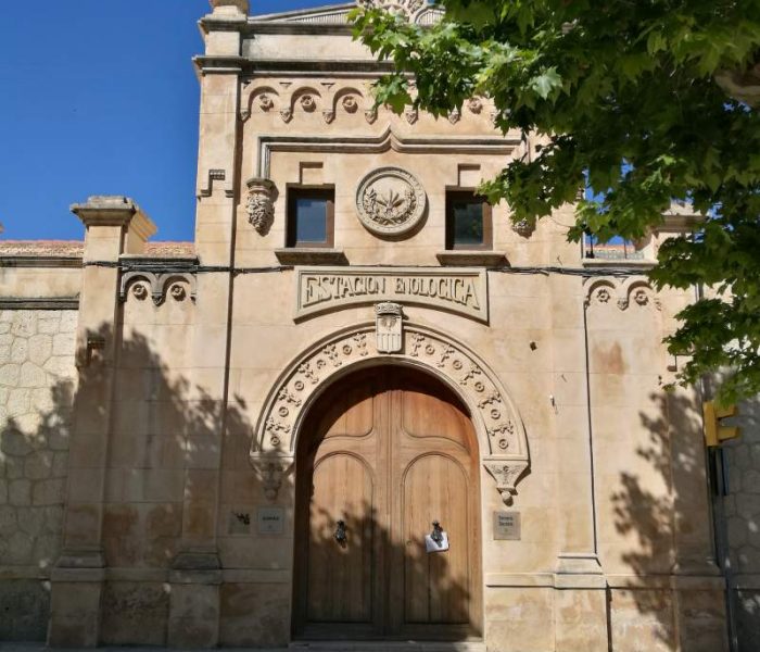 Former oenological station, a wine research center, in Felanitx town, Mallorca island.