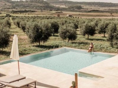 sant-joan-mallorca-spain-agroturismo-pool-olive-groves