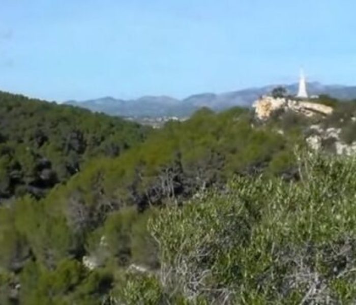 Son Segui mountain in Santa Eugenia, Mallorca.