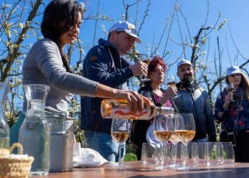 winery-wine-vinyard-mallorca-people-tasting-drinking
